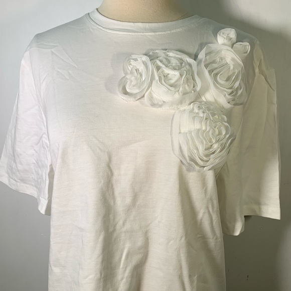 ZARA NWT Organza mesh 3D Floral Top Size M
Casual cottage spring tshirt - Picture 4 of 9